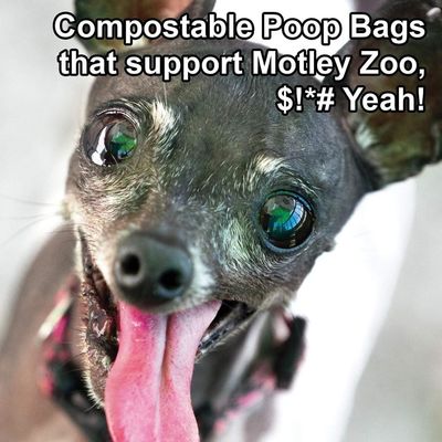 Сумка кормы повторно использовала сумку 2020 кормы собаки нюха сумок поо догие продуктов любимца 9кс13 биодеградабле